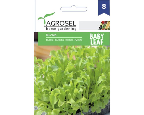 Semințe de salată rucola Baby Leaf PG8 Agrosel