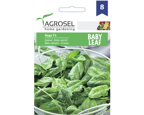 Semințe legume Agrosel spanac Saga F1 Baby Leaf PG8