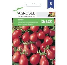 Semințe de legume Agrosel, tomate roșii pară Caitlin PG8-thumb-1