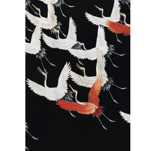 Fototapet vlies Special Decoration Cocori japonezi în zbor 194x280 cm