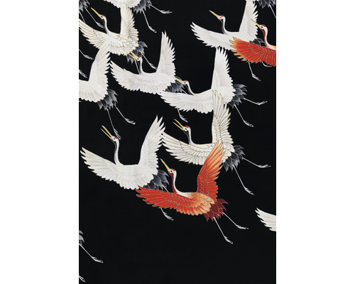 Fototapet vlies Special Decoration Cocori japonezi în zbor 194x280 cm-0