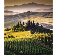 Fototapet vlies Special Decoration Toscana 2 243x280 cm
