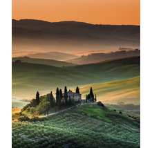 Fototapet vlies Special Decoration Toscana 3 243x280 cm