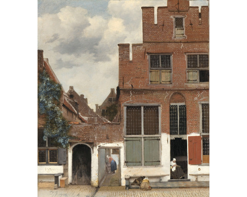Fototapet vlies Special Decoration Vermeer Străduța 243x280 cm