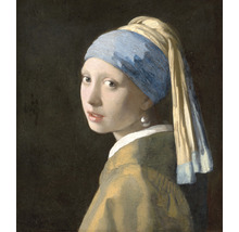 Fototapet vlies Special Decoration Vermeer Fata cu cercel de perlă 243x280 cm-thumb-0