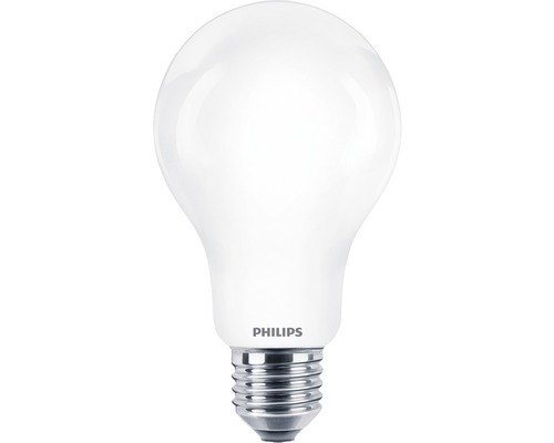 Bec LED Philips E27 17,5W 2452 lumeni, glob mat A67, lumină rece