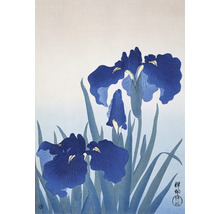Fototapet vlies Special Decoration Iris 194x280 cm