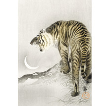 Fototapet vlies Special Decoration Tigru 194x280 cm