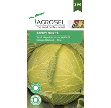 Semințe legume Agrosel varză Beverly Hills F1 PG3