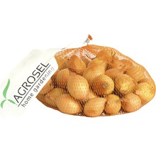 Sac cu cepe marca Agrosel