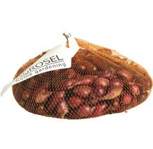 Șalote în ambalaj plasă