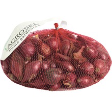 Sac cu ceapă roșie pentru plantat