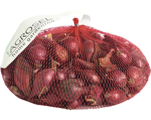 Bulb arpagic Agrosel roșu alungit 21-24 mm, 350 g