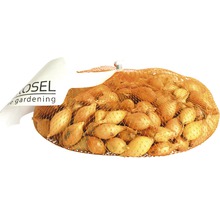 Ceapă într-o plasă