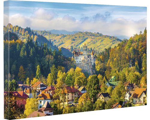 Tablou canvas cu un peisaj cu castel și case