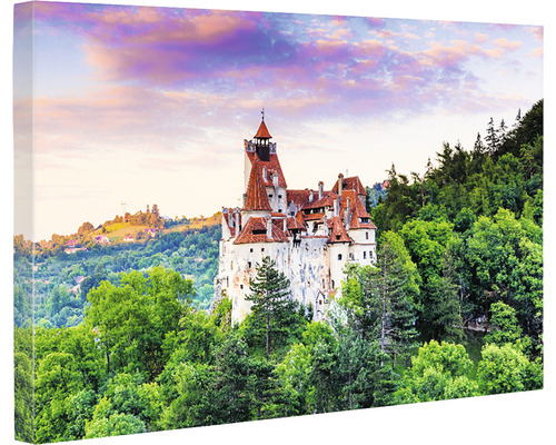 Imprimeu pe pânză cu un castel într-un cadru împădurit