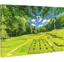 Tablou de perete cu imaginea sanctuarului dacic Sarmizegetusa Regia