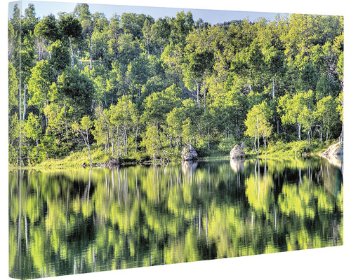 Imprimeu pe pânză cu pădure la lac