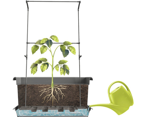 Jardiniere cu suport pentru plante cățărătoare, plantă și stropitoare