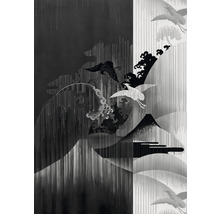 Fototapet vlies INX4-018 Yin Yang 200x280 cm