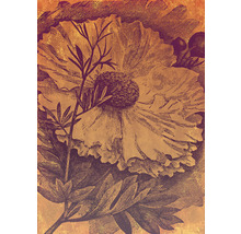 Ilustrație cu o floare și frunze