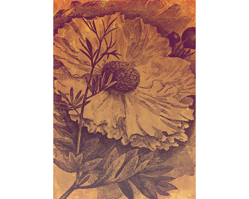 Ilustrație cu o floare și frunze