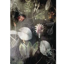Fototapet vlies INX4-044 Night Flowers 200x280 cm