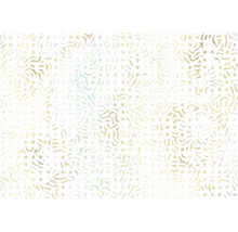 Model decorativ cu puncte și linii curbe.