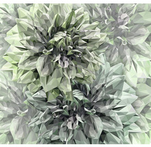 Fototapet vlies INX6-036 Emerald Flowers 300x280 cm