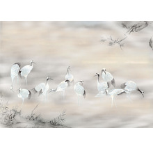 Tapetă cu model de cocor