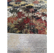 Covor Rakkas multicolor 120x170 cm
