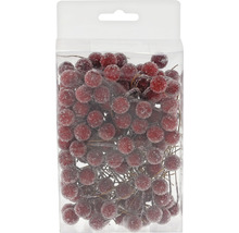 Bobițe decorative roșii într-un ambalaj.