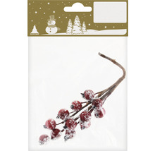 Creangă decorativă cu fructe roșii și zăpadă în ambalaj