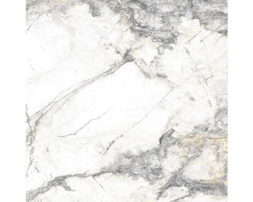 Gresie interior porțelanată rectificată Visage 60x60 cm gri /auriu Gresie interior porțelanată rectificată Visage 60x60 cm gri /auriu