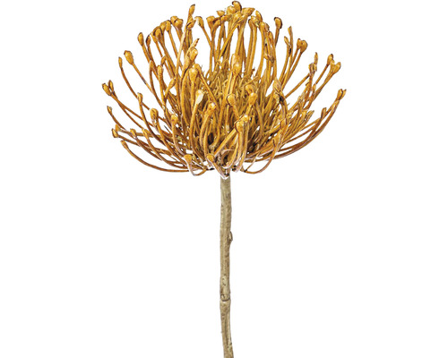 Floare artificială Protea H 48 cm bej