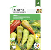 Semințe legume Agrosel ardei lung Apulum F1 PG3-thumb-0