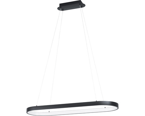 Pendul cu LED integrat Codriales 30W 3700 lumeni, alb/negru