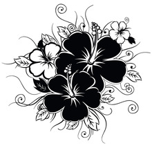 Ilustrație cu flori de hibiscus