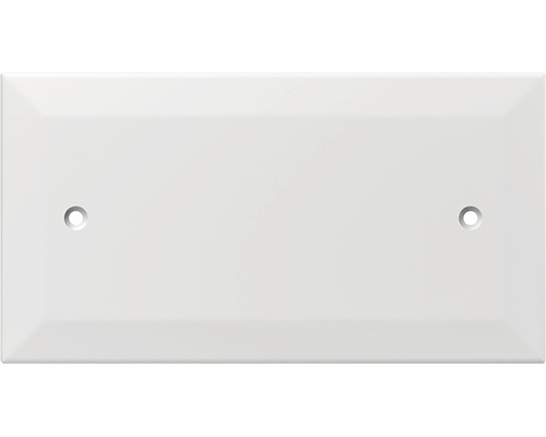 Capac doză aparataje TEM 150x82,5 mm (4 module) alb | HORNBACH