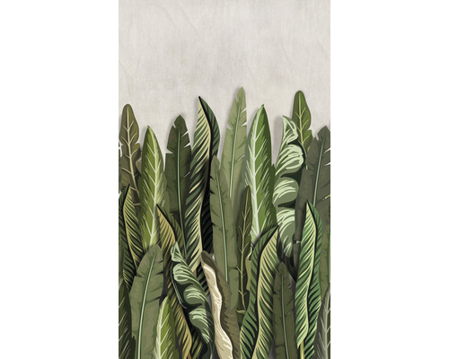 Fototapet vlies Smart Art Easy 47205 frunze, verde, 159x270 cm Ilustrație cu frunze tropicale pentru decorarea pereților