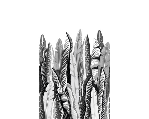 Fototapet vlies Smart Art Easy 47207 frunze gri 159x270 cm Ilustrație cu diverse frunze tropicale