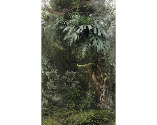 Fototapet vlies Smart Art Easy 47208 junglă verde 159x270 cm