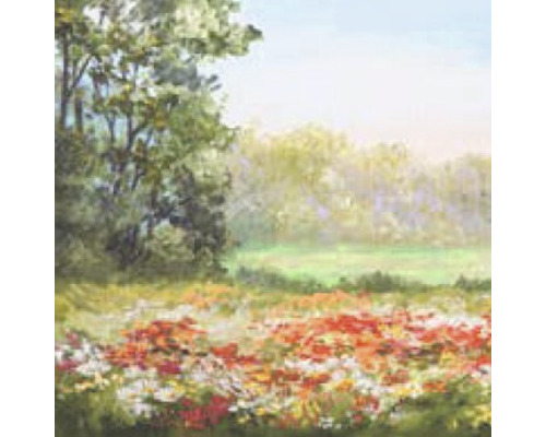 Tablou canvas Poppy Field 40x40 cm