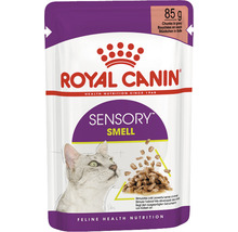 Hrană umedă pentru pisici Royal Canin Sensory Smell în sos 85 g-thumb-0