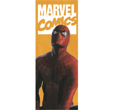 Ilustrație cu Spider-Man de la Marvel Comics