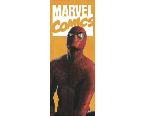 Fototapet vlies IADX2-070 Into Adventure Spider-Man Comic 100x250 cm