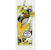Fototapet vlies IADX2-072 Into Adventure Guardians Retro Comic Raccoon 100x250 cm