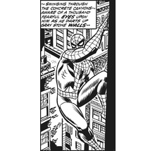Imagine de benzi desenate cu Spider-Man legănându-se prin canioane urbane