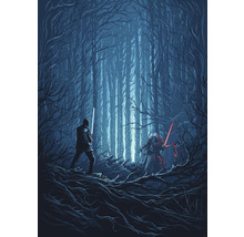 Fototapet vlies IADX4-003 Into Adventure Star Wars Wood Fight 200x280 cm