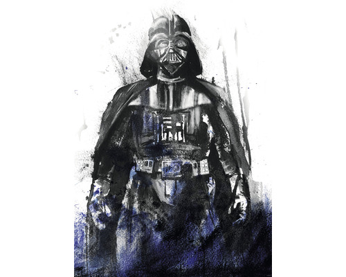 Fototapet vlies IADX4-017 Into Adventure Star Wars Watercolor Vader 200x280 cm Ilustrație cu Darth Vader